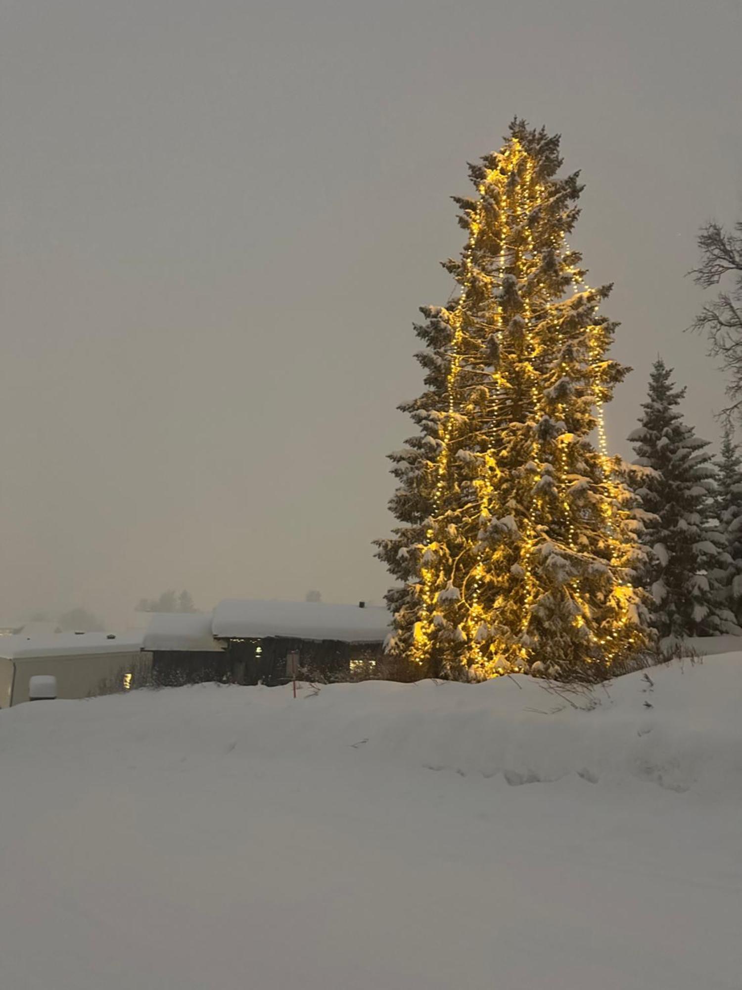 Koselig Byleilighet Sor I Sentrum Av Tromso. Tromsø Exterior foto